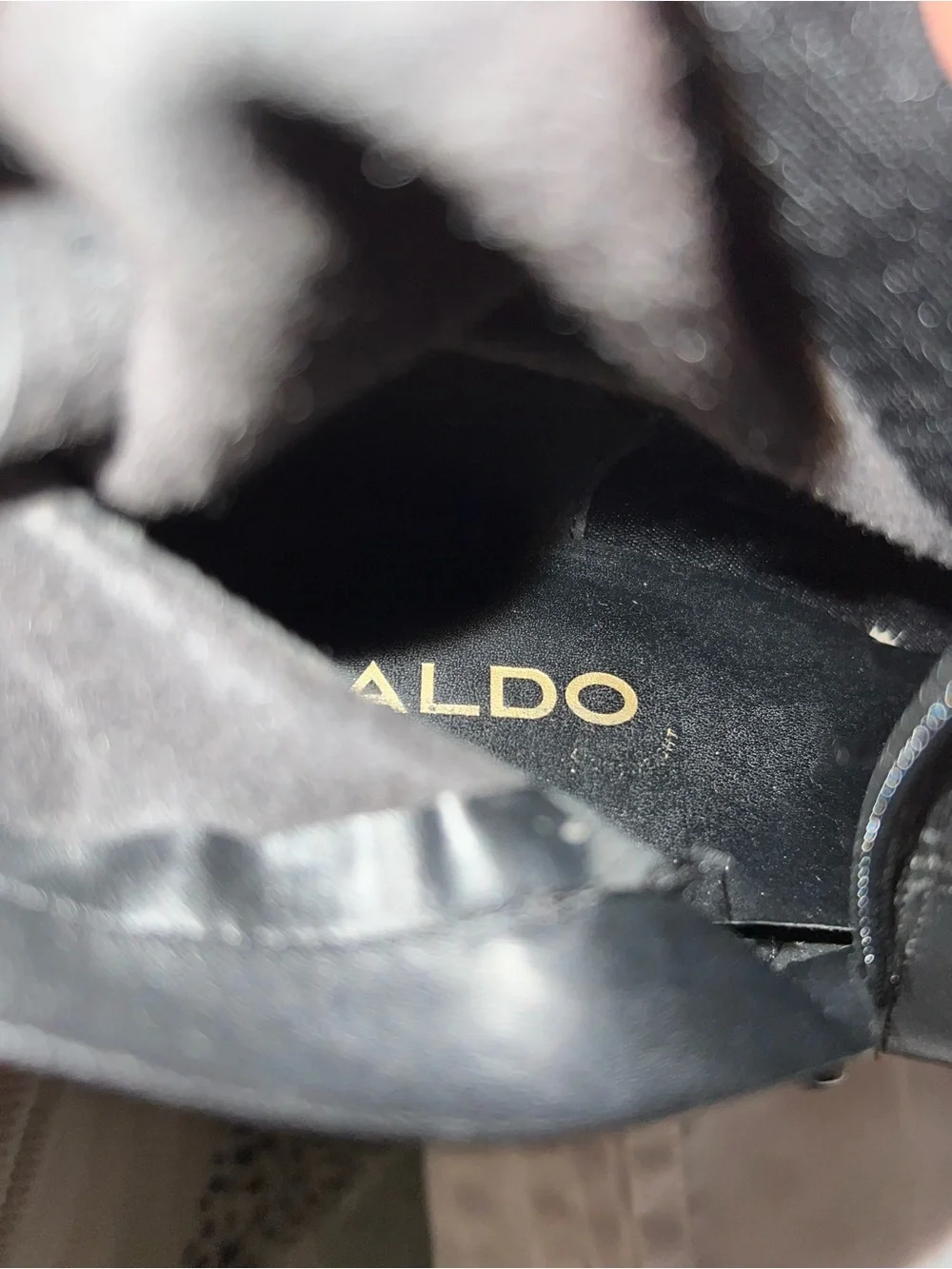 Aldo tall over